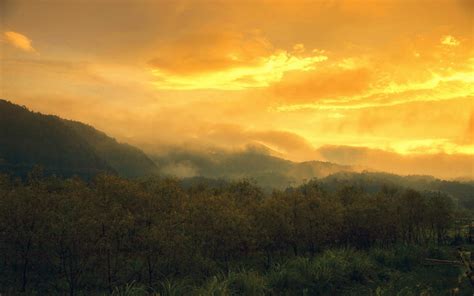 1920x1200 Nature Landscape Sunset Mountain Clouds Trees Sky Yellow