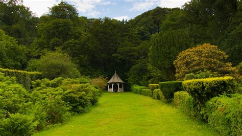 Free Download Wallpaper Garden Park Road Benches Landscape Garden Hd