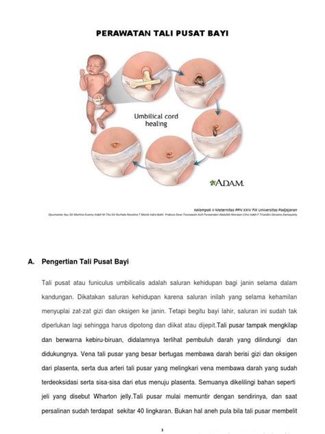 He wasn't there on monday; Perawatan Tali Pusat Bayi