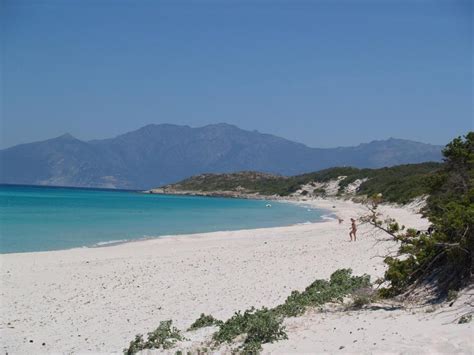 Traumstrand Saleccia Auf Korsika Foto And Bild Landschaft Meer And Strand Strandmakros Bilder