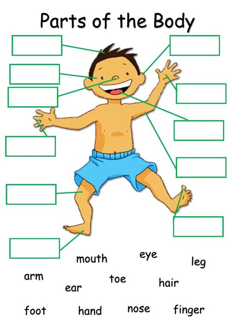 Body Parts English Lessons For Kids Body Parts For Kids English