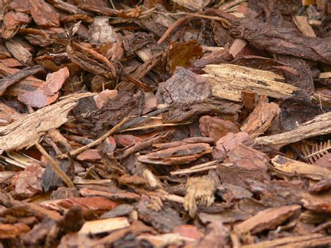 The Benefits Of Bark Mulch In Your Garden Stanler Farms