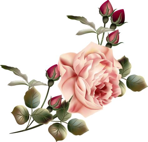 Flower Garden Roses Clip Art Vintage Flowers 50574835 Transprent Png