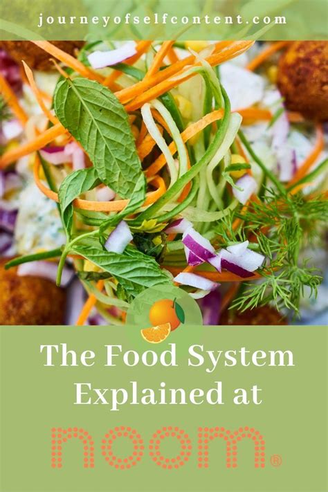 The green food group should make up the majority of your plate. Green, Yellow and Red-The Food System at Noom | Food ...
