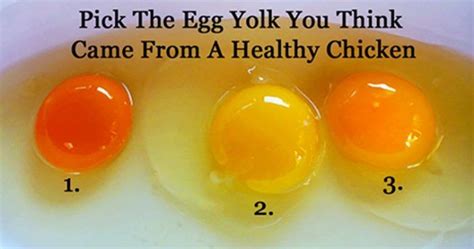 See more ideas about activities to do around easter time i like to spend that week doing fun, educational activities using those little plastic eggs! DO YOU KNOW WHICH EGG YOLK COMES FROM A HEALTHY CHICKEN? I ...