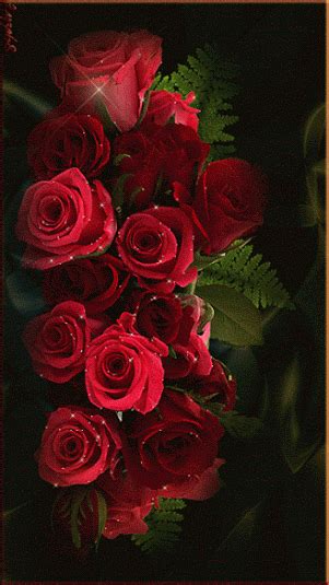 Beautiful Red Roses Animated Pictures