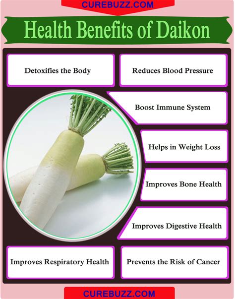 (newstarget) many people may not realize it, but radishes (known as daikens in some parts of the world) offer many health and nutritional benefits. 8 Health Benefits of Daikon : CUREBUZZ