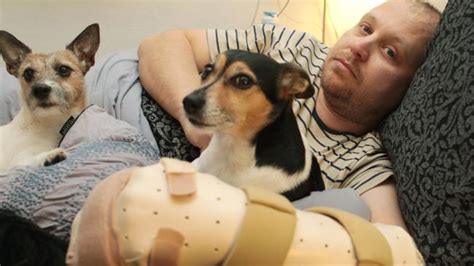 Angry rottweiler dog attacks cow.(animal attacks) hai viewers! South Melbourne man hospitalised after rottweiler attack ...