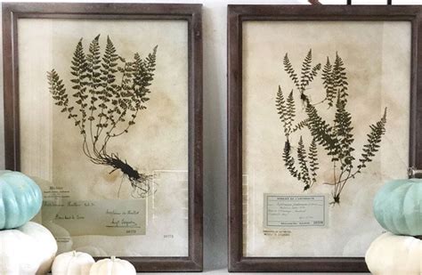 Huge Wooden Framed Botanical Art Set Of 2 Framed Botanical Art