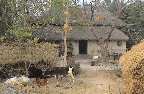 Kali Travel Home Pvt Ltd Bengali Village Basudah