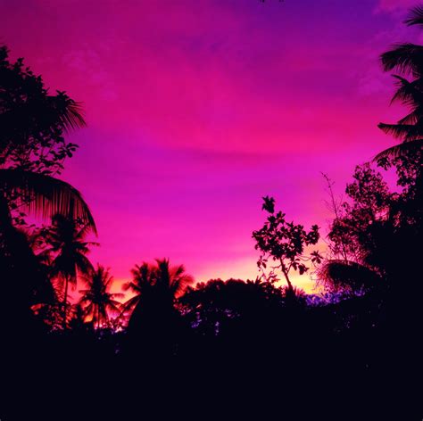 Sunset Beauty - Home