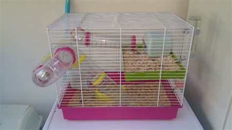 Roborovski Dwarf Hamster And Cage Food Toys In Wigan
