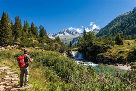 Trekking In The National Park Of Adamello Brenta Italy Editorial