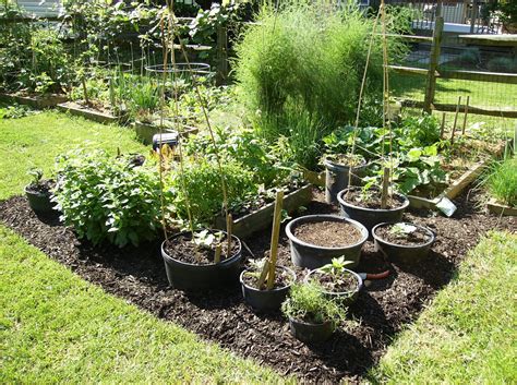 Container Gardening Tips Vegetables Garden Design Ideas