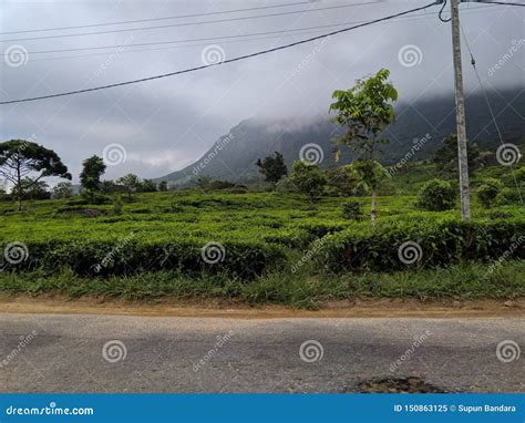 Natural Beauty Of Sri Lanka Stock Image Image Of Mountain Nature