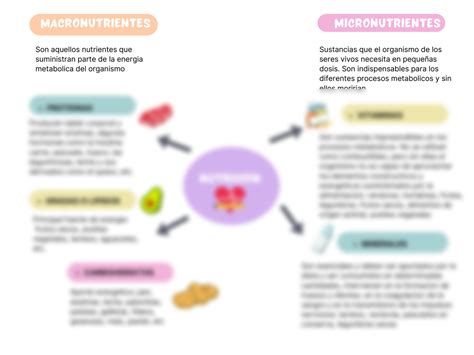 Solution Mapa Conceptual Micronuntrientes Y Macronutrientes Studypool