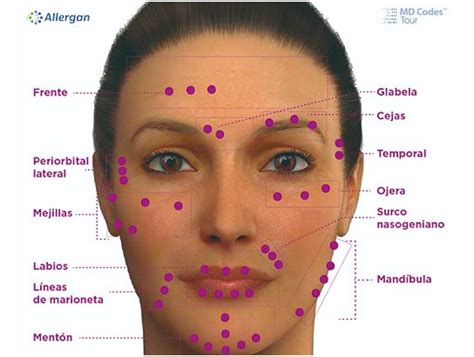 Full Face El Tratamiento De Rejuvenecimiento Facial Sin Cirugía