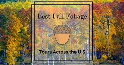 10 Best Fall Foliage Tours Across America Group Tours