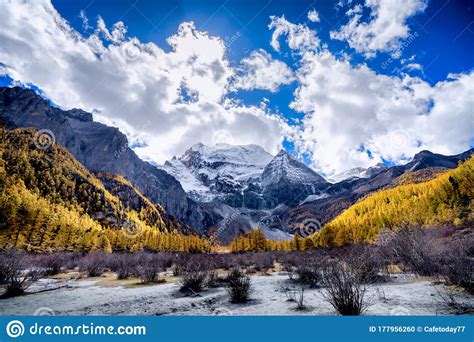 Nature Landscape River In Pine Forest Mountain Valleysnow Mountain In