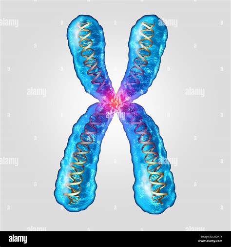 Chromosom genetische DNA-Konzept als mikroskopisch kleine Molekül mit einer Doppel-Helix-gen ...