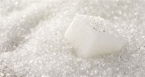 The Bitter Truth about Sugar