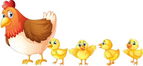 Best Baby Chicks Clipart Illustrations Royalty Free Vector Graphics