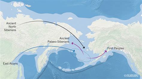 The Lineages Of The First Humans To Reach Northeastern Siberia And The