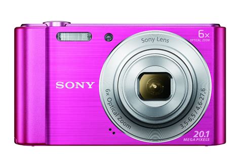 sony cyber shot dsc w810 p w series 20 1mp point and shoot camera memory card and camera case