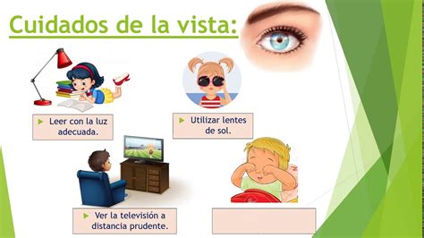 Cuidados De Los Sentidos Para Niños Youtube