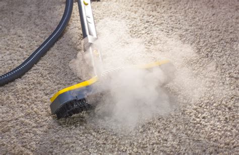 Best Carpet Steamer The Best Carpet Steamer For Your Floor Cottier
