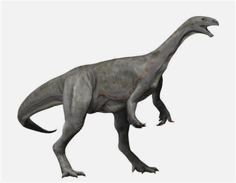 Triassic Dinosaurs List With Pictures And Facts Discover The Dinosaurs