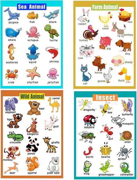 4 Pieces Laminated Educational Preschool Posters For Toddlers