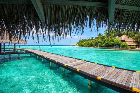 Maldives Resort Sea Beach Tropical Palm Trees Summer