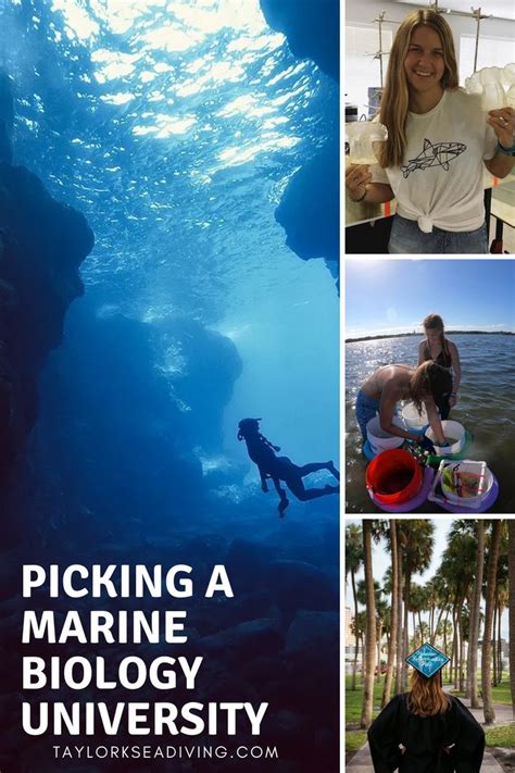 Picking A Marine Biology University In 2021 Marine Biology Marine