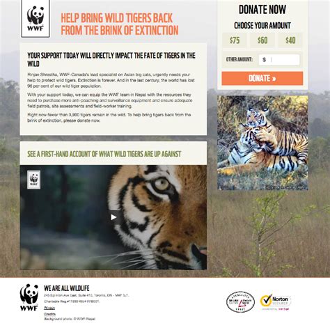 World Wildlife Fund Canada Sj Consulting Llc