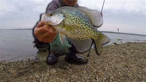 A Crappie Weekend Youtube