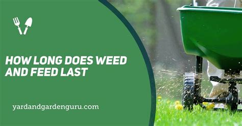 How Long Does Weed And Feed Last