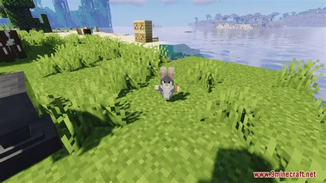 Big Chungus Totem Resource Pack 1204 1194 Texture Pack