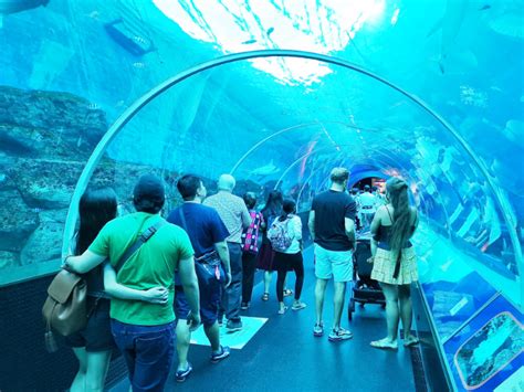 Things To Do In Sentosa Island 20 Must Try Activities