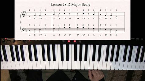 Learn How To Play The D Major Scale On The Piano For Beginners Lesson
