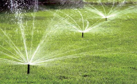 Jul 15, 2021 · for example, if you just need to water a large patch of lawn or a crop of the same plants, then a sprinkler is a great solution. Sprinkler Technology - Lawn Sprinkler Watering Tips