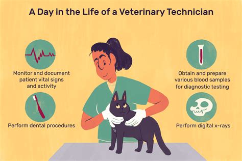 Veterinary Technician Job Description Salary Skills And More