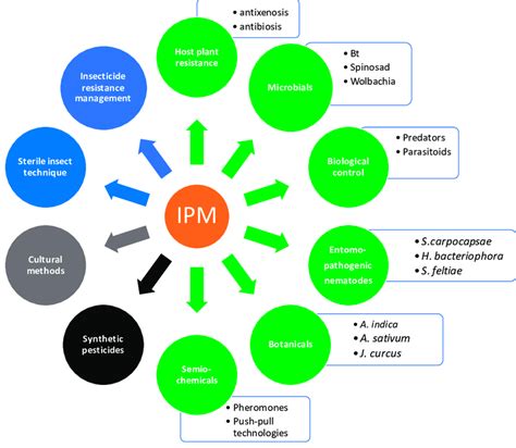 Schematic Representation Of Proposed Integrated Pest Management