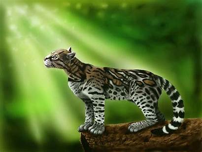 Ocelot Animal Wallpapers Background Cat 3d Tiger
