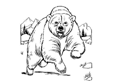 Pin On 北極熊