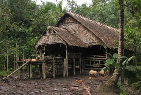 Things You Need To Know About Mentawai Tribe Authentic Indonesia Blog