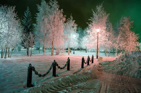 Winter Night Park Trees Covered With Snow Lanterns Frost Winter