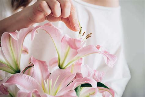 If the garment is dry clean only, have. Remove Yellow Pollen Stains From Clothes and Carpet