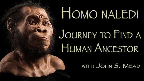 For the two extended investigations of the chamber in 2013 and 2014, dr. The Discovery of Homo naledi - YouTube