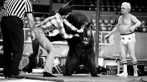 Heres A Look At The History Of Bear Wrestling In Shreveport Bossier